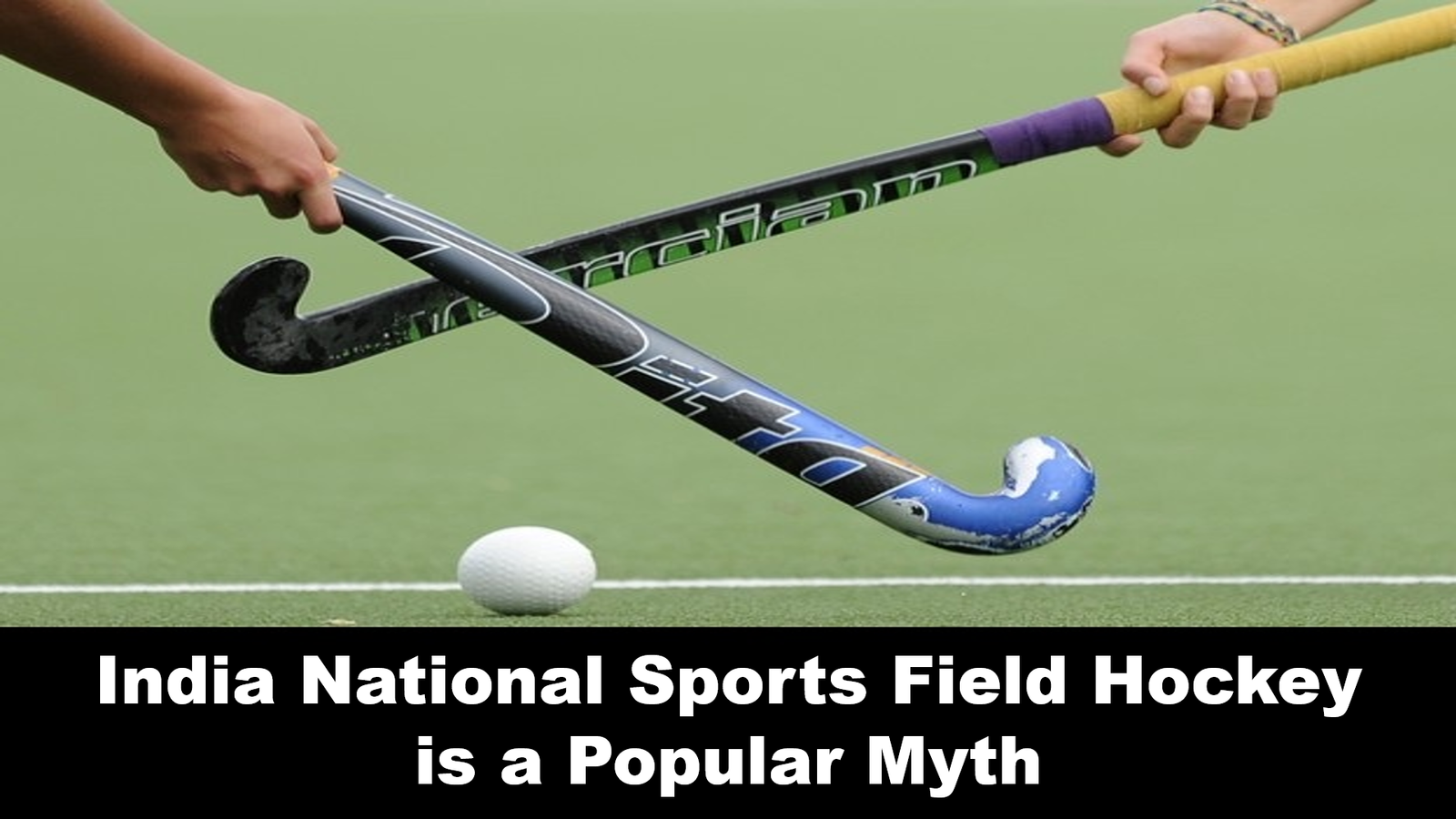 India National Sports Field Hockey is a popular myth confirm by Indian Government specially Ministry of Youth Affairs and Sports ( MYAS ) through Right to Information ( RTI )